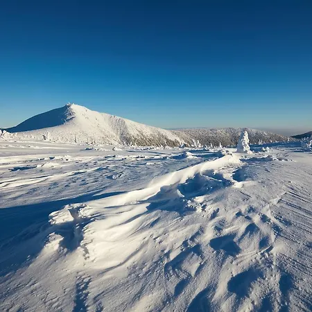 Topas Gasthof Pec pod Sněžkou